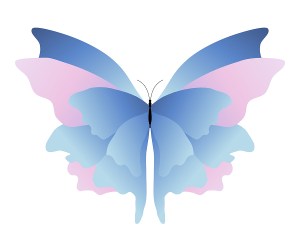 Pink_Blue_Butterfly_2845076