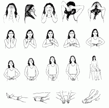 auto-reiki-23