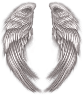 AngelWingspsd72371