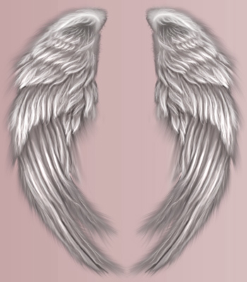 AngelWingspsd72371