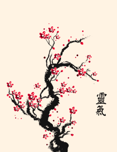 cherry blossom4